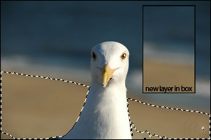 Sample all layers - off