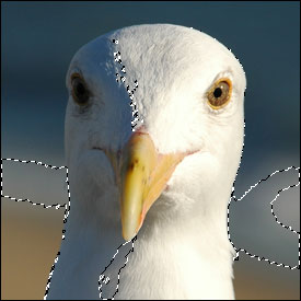 Magic Wand Contiguous - Off