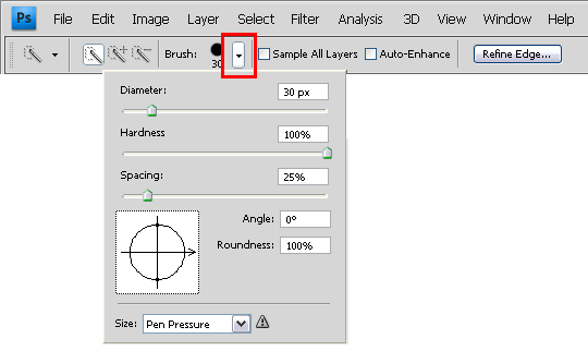 Quick Selection Tool Options