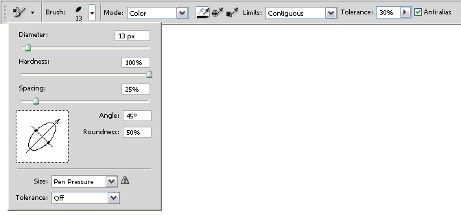 Replacement Brush Options