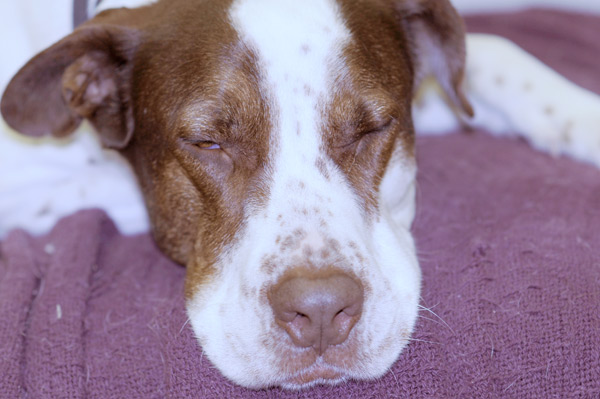 White Balance example