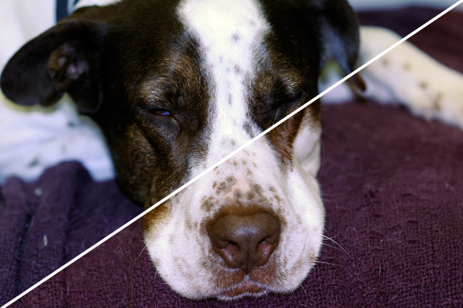 Color correction in Photoshop