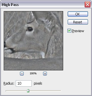 High Pass Filter in Photoshop High Pass Filter in Photoshop