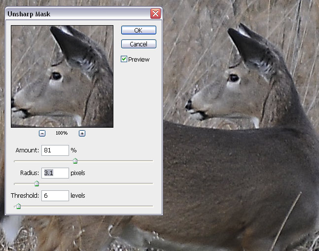 Unsharp Mark Dialog Unsharp Mark Dialog