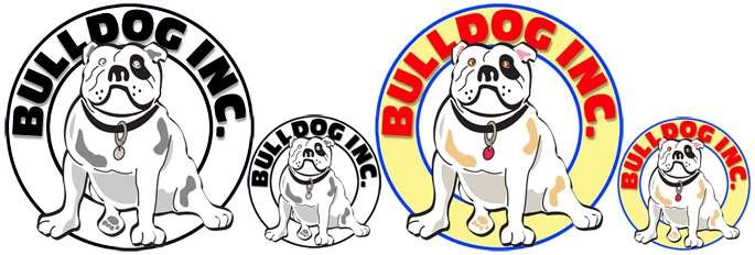 Different versions of the same logo