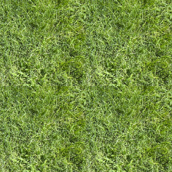 Non-Seamless texture Non-Seamless texture